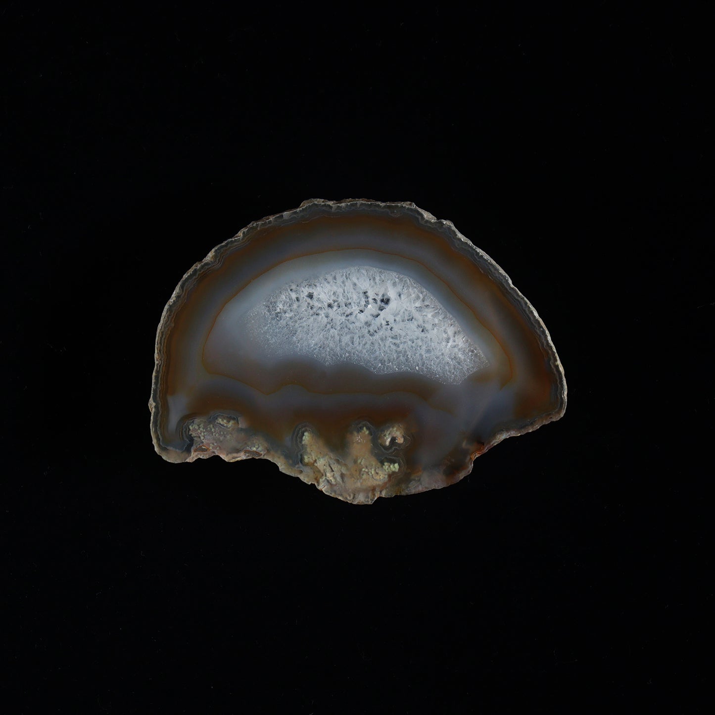 agate slice #003