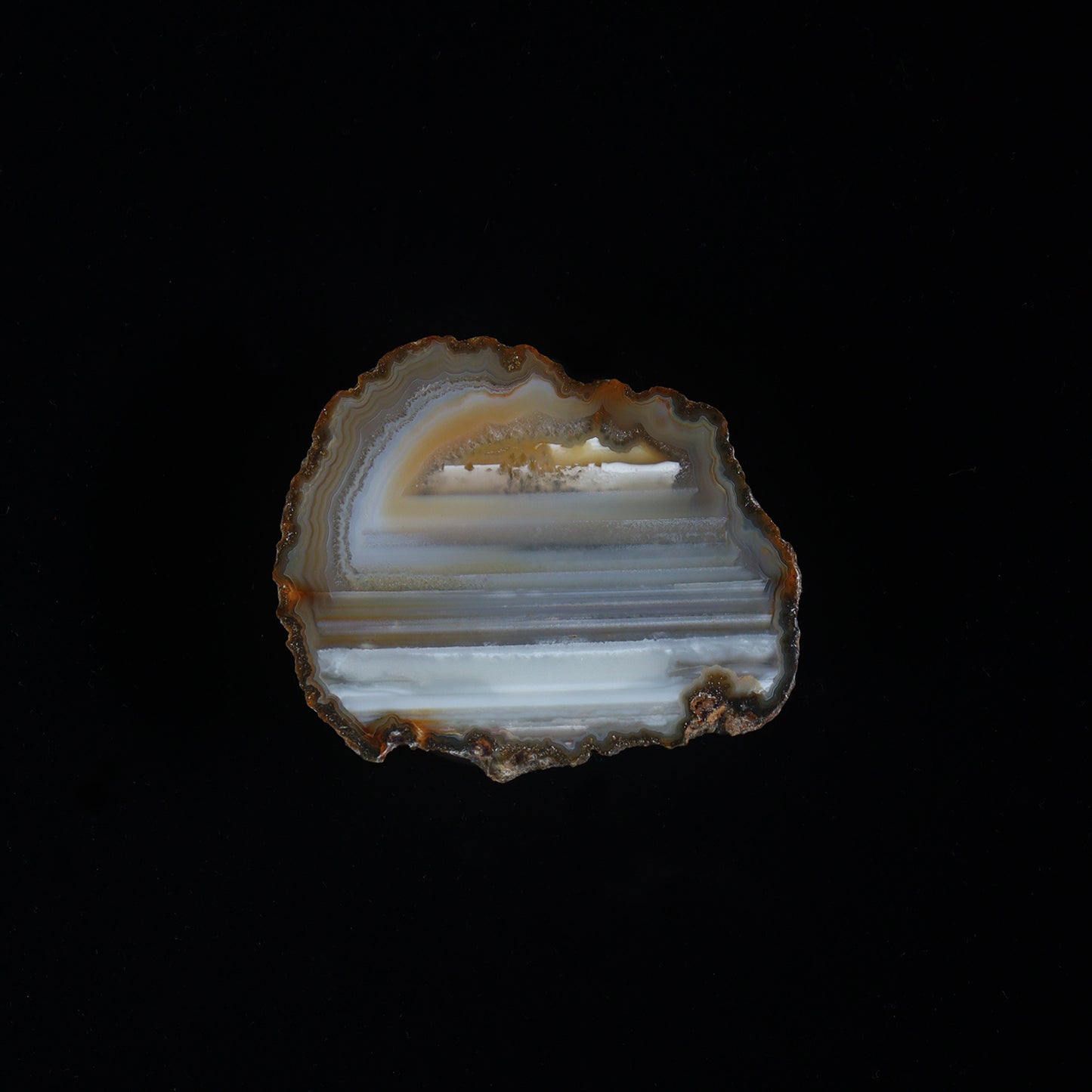 agate slice #001