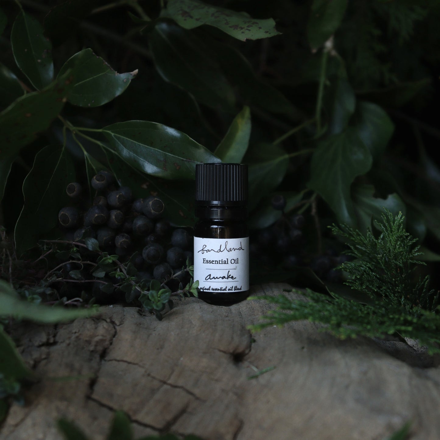 essential oil _ awake