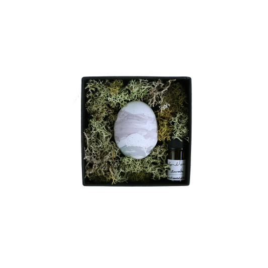 bardland box_029