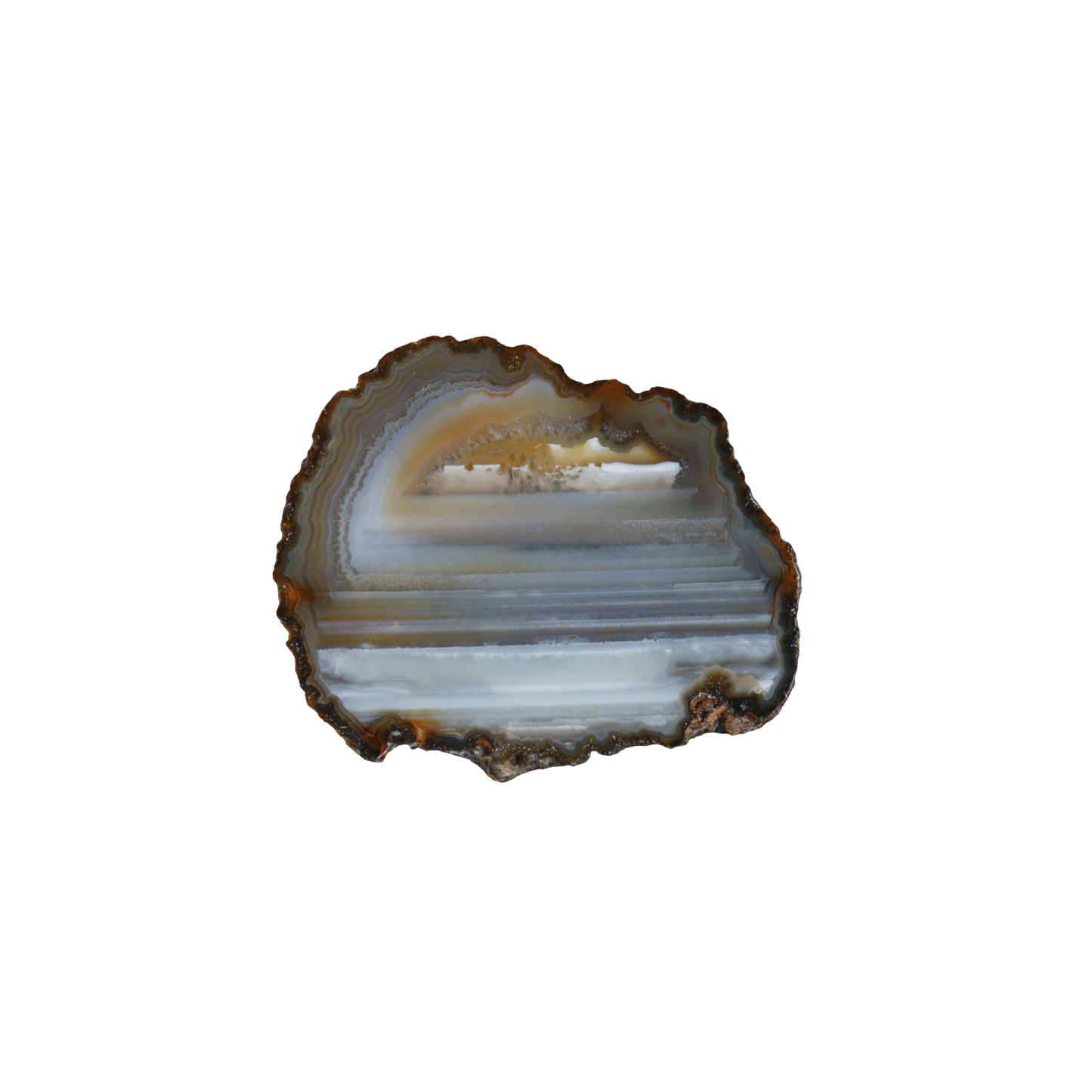 agate slice  #001