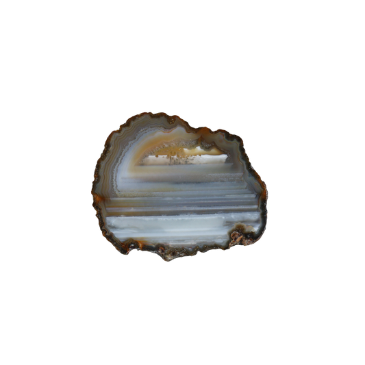 agate slice  #001