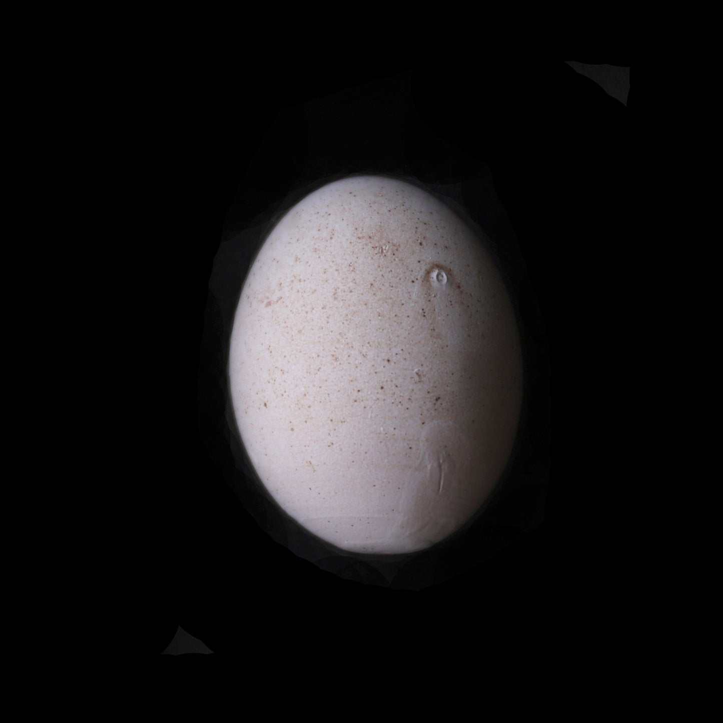 Egg _ Three  [omakase]